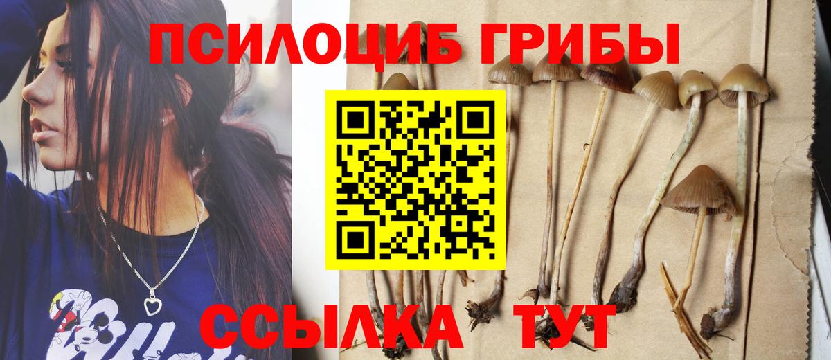 Янаул  Псилоцибиновые грибы Magic Shrooms  Вход с VPN 