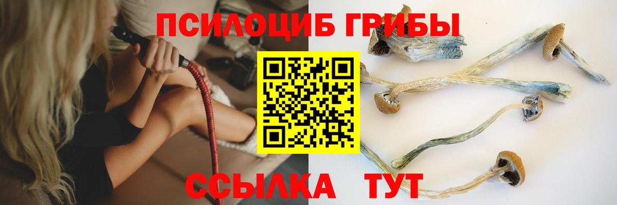 Галлюциногенные грибы Psilocybine cubensis Янаул